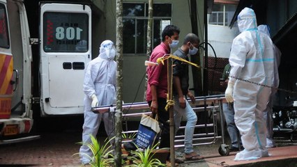 Esto es lo que se sabe del virus Nipah que tiene encendida las alarmas en la India