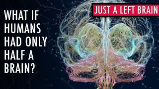 What If Humans Only Had A Left Brain? | Unveiled