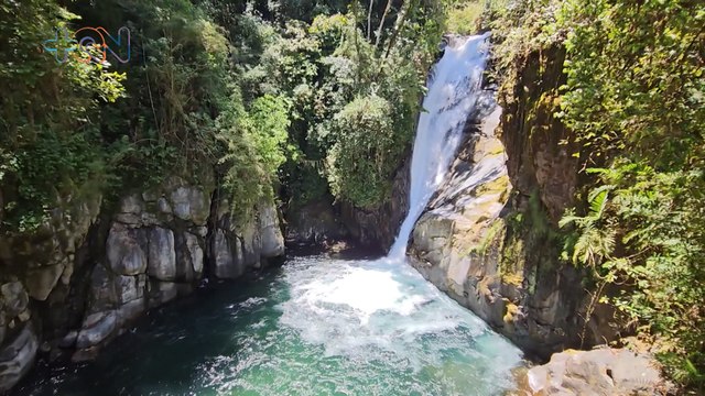 mqn-Reserva natural reforesta alrededores del Parque Nacional Chirripó-270923