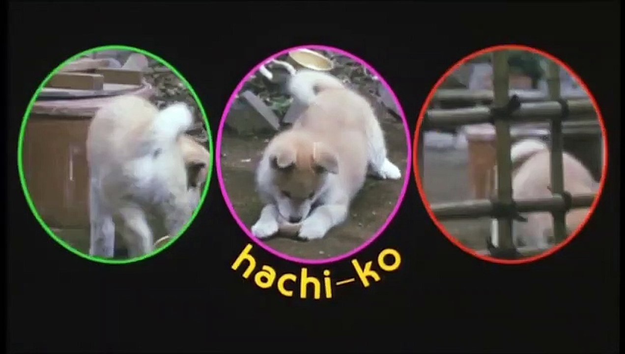 Hachiko - Wahre Freundschaft währt ewig | movie | 1987 | Official Trailer