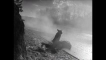 Viele kamen vorbei | movie | 1956 | Official Trailer