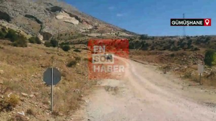 Yaban keçileri Gümüşhane'nin doğal güzelliğine renk kattı