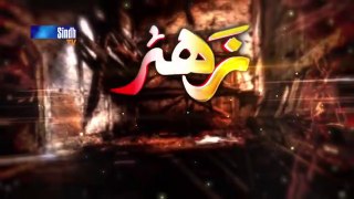 Zahar Zindagi - Ep 02 _ Sindh TV Soap Serial _ SindhTVHD Drama(360P)