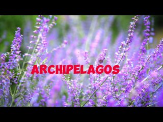 Fun Animal Facts You Didn't Know 🐾