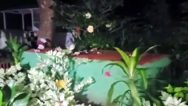 ¡Atrevida! Reportera de HCH muestra profanación de tumbas en cementerio de Choluteca