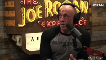 2040 - Eddie Bravo - The Joe Rogan Experience