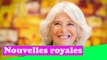 Camilla a renoncé à l'utilisation du titre de premier plan de la famille royale «par respect» pour l