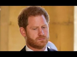 Le prince Harry pourrait être entraîné dans la rangée caritative de Charles alors que Duke pourrait