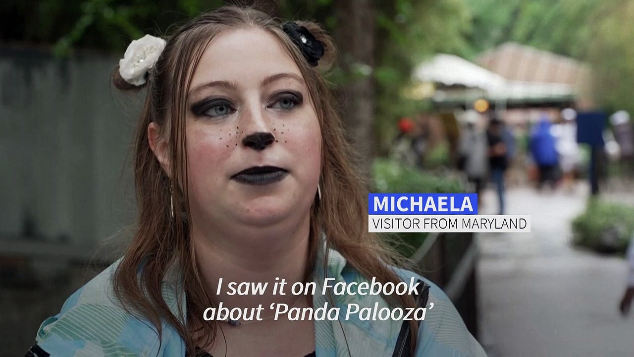 Fans say goodbye to giant pandas at the US National Zoo