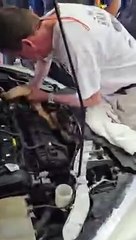 Mecânicos encontram jiboia de 2,5 metros no motor de carro