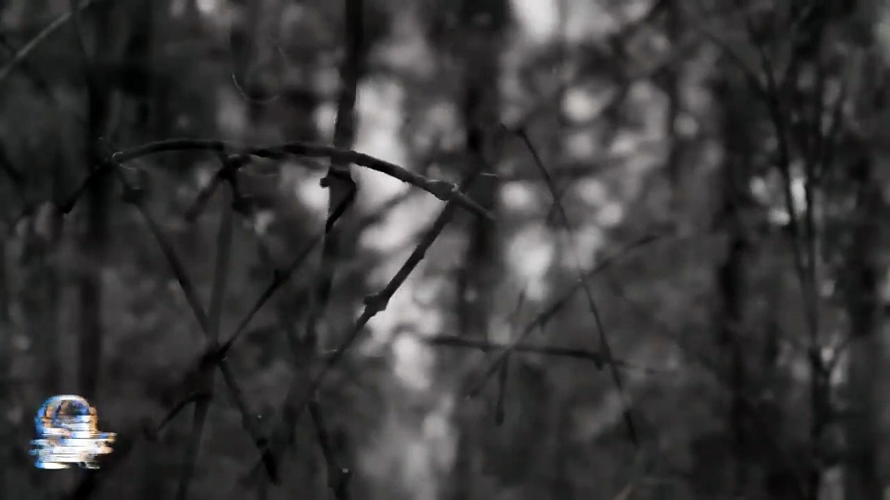 3 HISTORIAS DE TERROR VOL. 113 (Relatos De Horror)