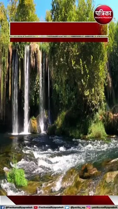 श्राद्ध पक्ष में ये सात काम जरूर करने चाहिए
