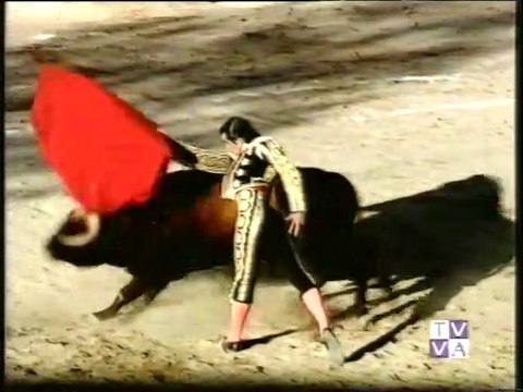 TARDE DE TOROS RIVEIRO TELLEZ-FDO CEPEDA-LUGUILLANO 1.10.1995-TOROS SEGUNDA DE OLMEDO