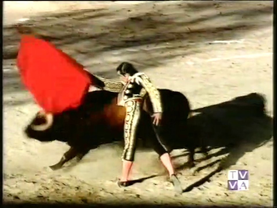 TARDE DE TOROS--RIVEIRO TELLEZ-FDO CEPEDA-LUGUILLANO 1.10.1995-TOROS SEGUNDA DE OLMEDO