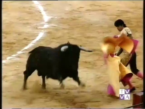 TARDE DE TOROS-ORTEGA CANO-DAVID LUGUILLANO-MIGUEL RODRIGUEZ ABONO 2-FERIA DE NUESTRA SEÑORA DE SAN LORENZO Y SAN MATEO DE VALLADOLID 18 SEPT 1995