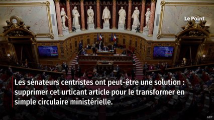 Les indiscrets – Loi immigration : une piste de compromis au Sénat
