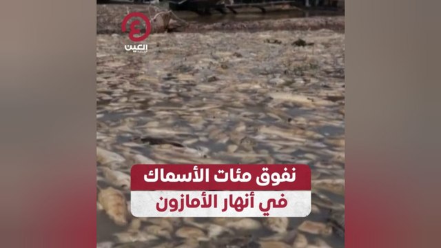 نفوق مئات الأسماك في أنهار الأمازون