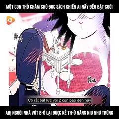 Chapter 2_ Mối Liên Kết Giữa Báo Đen Và Bé Thỏ