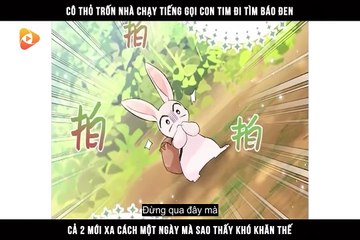 Chapter 11_ Mối Liên Kết Giữa Báo Đen Và Bé Thỏ