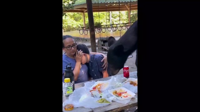 Ormanda piknik yapan ailenin masasına ayı dadandı