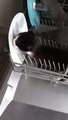 Comment fonctionne le lave-vaisselle