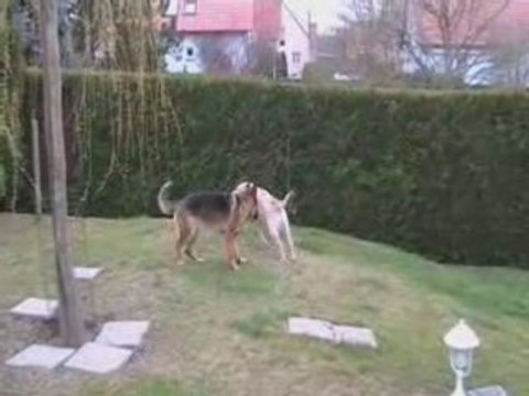 Ah courir après les filles