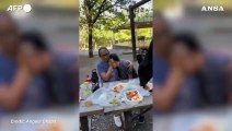 Messico, aggiungi un posto a tavola: orso irrompe al picnic (e gradisce)