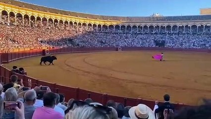 La despedida de El Juli en Madrid