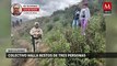 Colectivo hallan restos de tres personas en Baja California