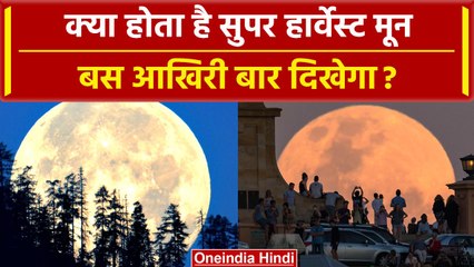 Harvest Moon 2023: क्या होता है सुपर हार्वेस्ट मून, बस अब आखिरी बार दिखेगा? | वनइंडिया हिंदी