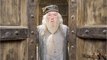 GALA VIDEO - Michael Gambon, connu pour son rôle de Dumbledore dans Harry Potter, est mort