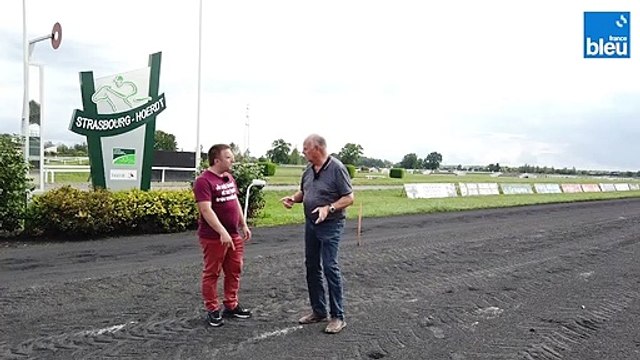 Hippodrome Hoerdt 3/6 : La piste