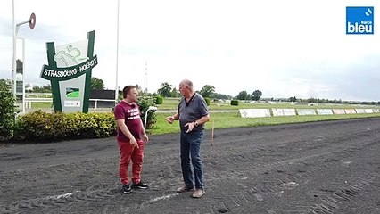 Hippodrome Hoerdt 3/6 : La piste