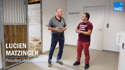 Hippodrome Hoerdt 2/6 : Contrôle vétérinaire