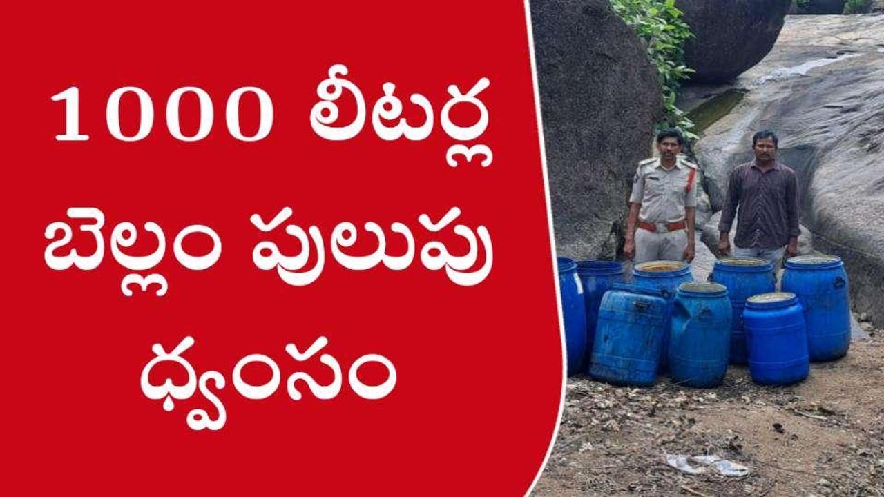 అనకాపల్లి జిల్లా: పోలీసులు దాడులు.. భారీగా బెల్లం ఊట ధ్వంసం