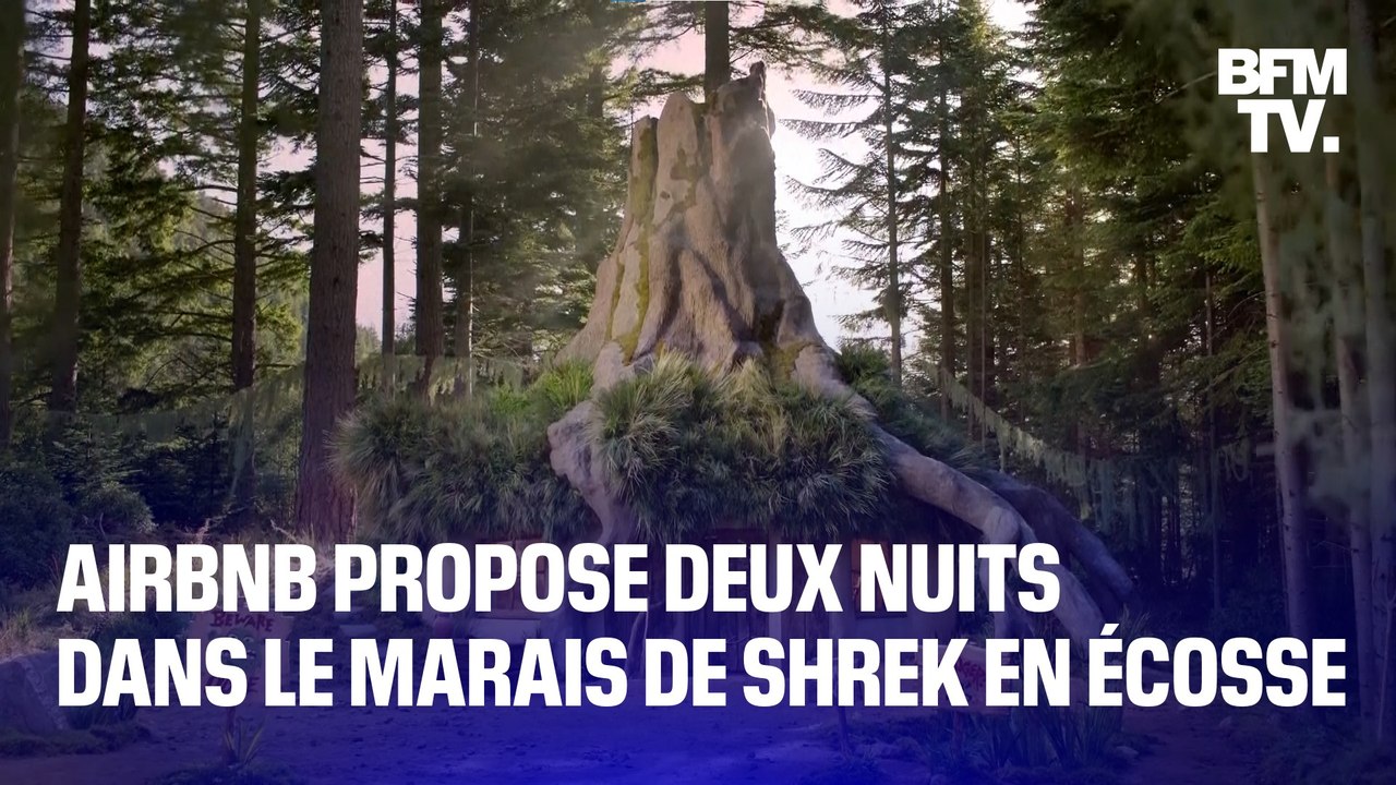 Pour Halloween, AirBnb propose deux nuits dans le marais de Shrek en Écosse