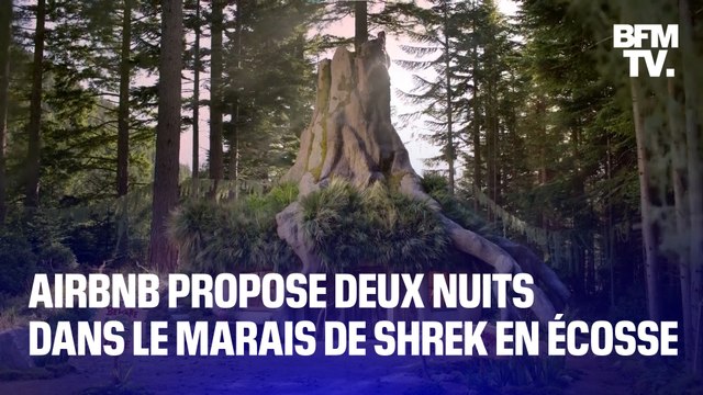 Pour Halloween, AirBnb propose deux nuits dans le marais de Shrek en Écosse