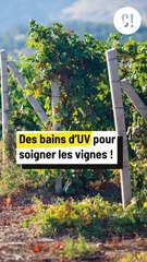 Elle prend un bain d’UV pour se soigner ?!
