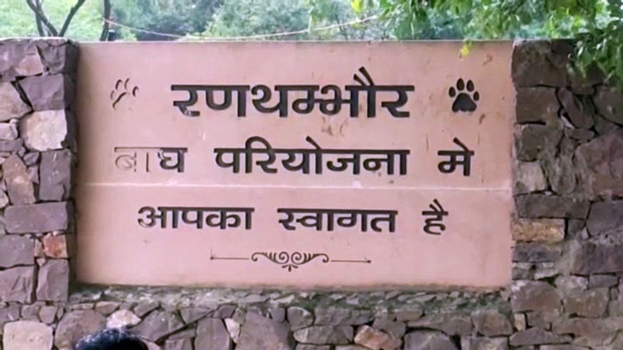 प्रदेश के पांचवे टाइगर रिजर्व की ओर बढ़ाया एक और कदम, धौलपुर अभयारण्य किया घोषित