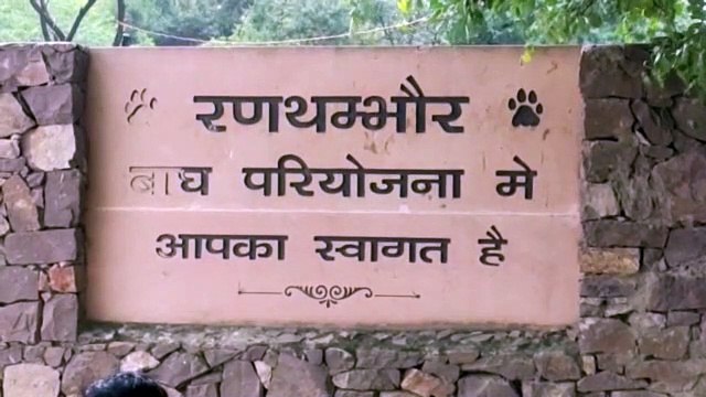 प्रदेश के पांचवे टाइगर रिजर्व की ओर बढ़ाया एक और कदम, धौलपुर अभयारण्य किया घोषित