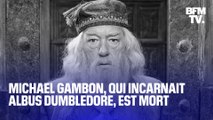 Mort de Michael Gambon, qui incarnait Dumbledore dans 
