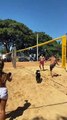 Un chien joue au Beach-volley