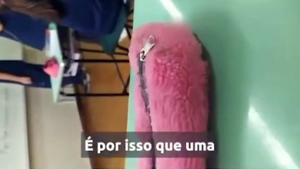 Professora filmada ensinando linguagem neutra a alunos é demitida