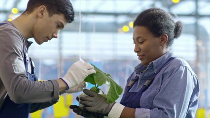 Agrofarmaci negli alimenti, l'Italia un modello in Europa