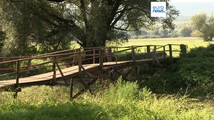 Les migrants illégaux en Slovaquie : un défi majeur à l'approche des élections