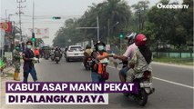 Kabut Asap Makin Pekat, Tim Satgas Karhutla Bagikan 4 Ribu Masker Gratis
