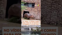 Hipopótamo em fúria ataca cuidador em zoológico na China