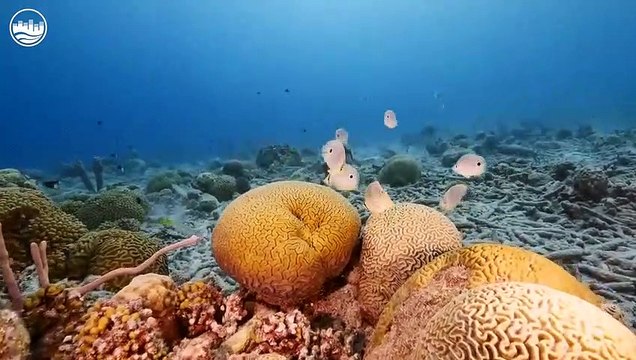 Mega Hits 2023 The Best Of Vocal Deep House Music Mix 2023 Summer Music Mix 2023