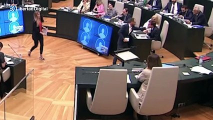 El socialista Viondi, expulsado del Pleno después de "tocarle la cara" a Almeida