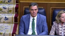 ERC y Junts piden que el Parlament avale condicionar la investidura de Sánchez al referéndum